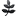 Zifblog